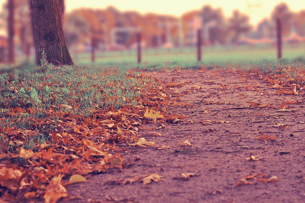 Fall Events